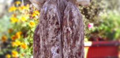 salame_2_prodotto_dettaglio