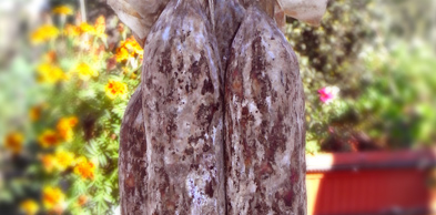 salame_2_prodotto_dettaglio